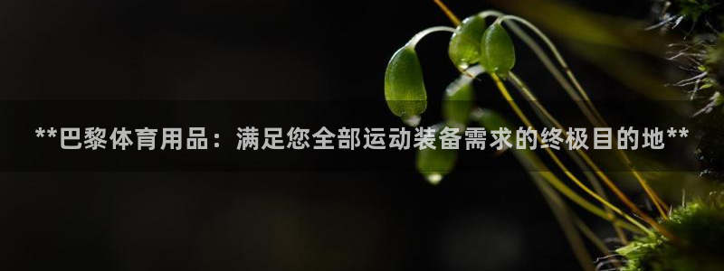 欧陆娱乐提现两百万：**巴黎体育用品：满足您全部运动