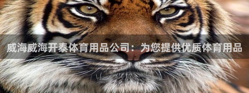 欧陆娱乐百科：威海威海开泰体育用品公司：为您提供优质