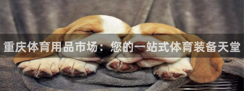 欧陆娱乐脚本：重庆体育用品市场：您的一站式体育装备天