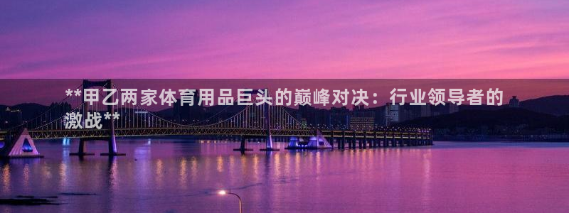欧陆娱乐客服：**甲乙两家体育用品巨头的巅峰对决：行