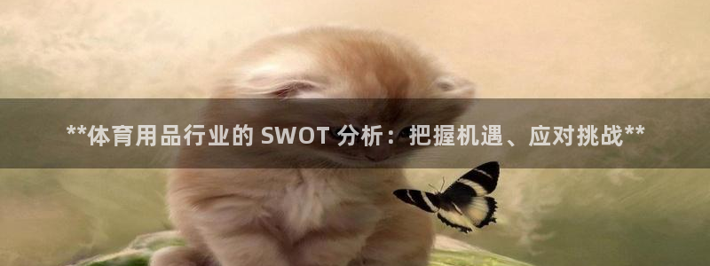 欧陆娱乐出款：**体育用品行业的 SWOT 分析：把