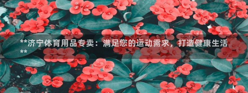 欧陆娱乐计划app官方正版安装下载：**济宁体育用品