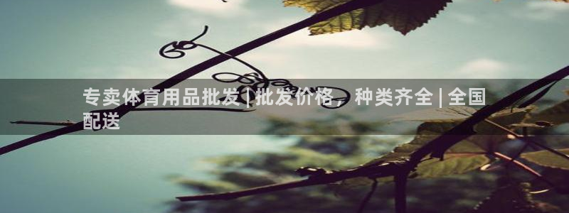 欧陆娱乐平台咋样啊：专卖体育用品批发 | 批发价格，