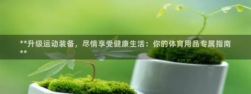欧陆娱乐登录官网入口：**升级运动装备，尽情享受健康