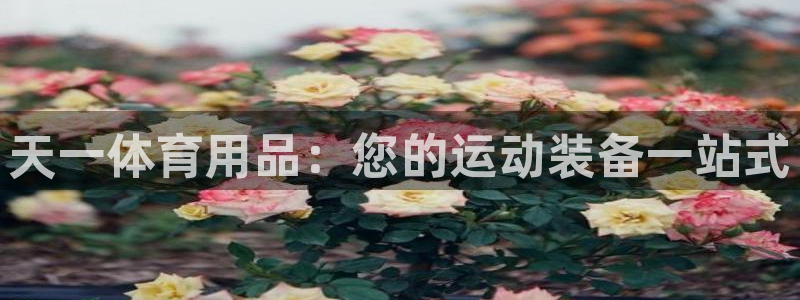 欧陆娱乐怎么注册会员账号啊：天一体育用品：您的运动装