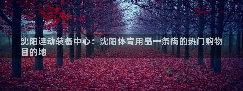 欧陆娱乐平台登陆地址在哪看：沈阳运动装备中心：沈阳体