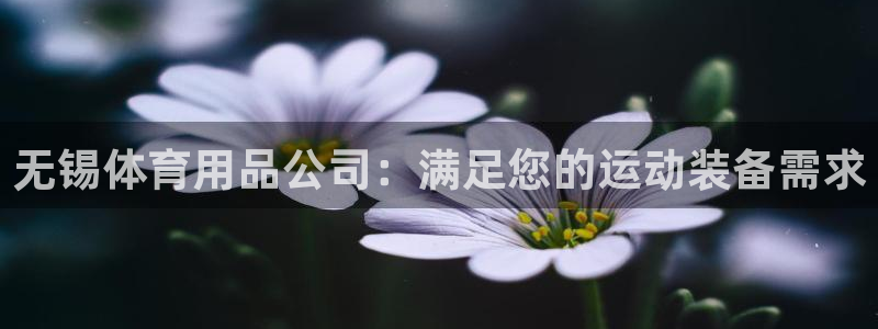 欧陆娱乐怎么注册：无锡体育用品公司：满足您的运动装备