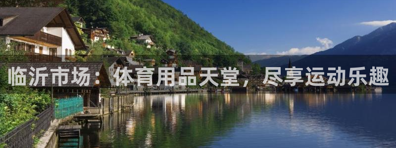 欧陆娱乐平台登录不上怎么办：临沂市场：体育用品天堂，