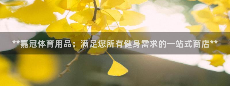 欧陆娱乐挂机怎么玩的：**嘉冠体育用品：满足您所有健