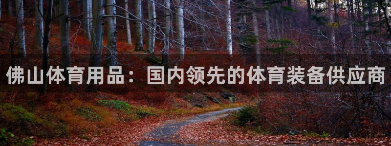 欧陆娱乐官网注册中心下载：佛山体育用品：国内领先的体