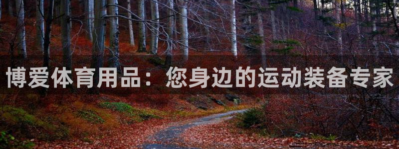 欧陆娱乐打什么方案：博爱体育用品：您身边的运动装备专