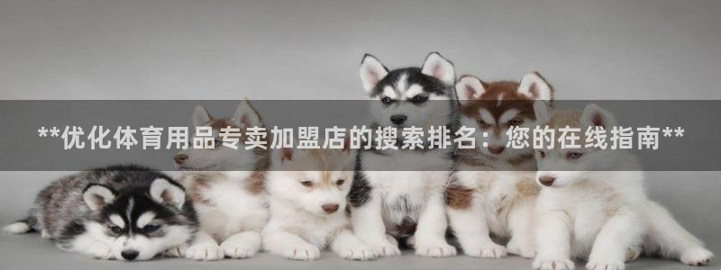欧陆娱乐怎么注册会员账号：**优化体育用品专卖加盟店