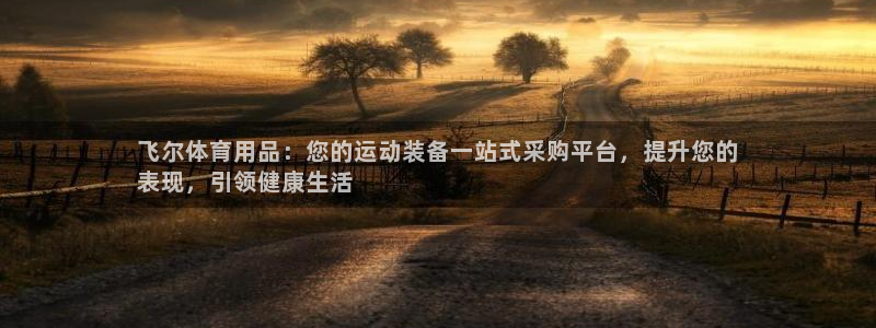 欧陆娱乐登录测速怎么关闭：飞尔体育用品：您的运动装备
