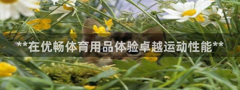 欧陆娱乐是正规平台吗安全吗可信吗是真的吗：**在优畅