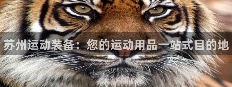 欧陆娱乐官方：苏州运动装备：您的运动用品一站式目的地