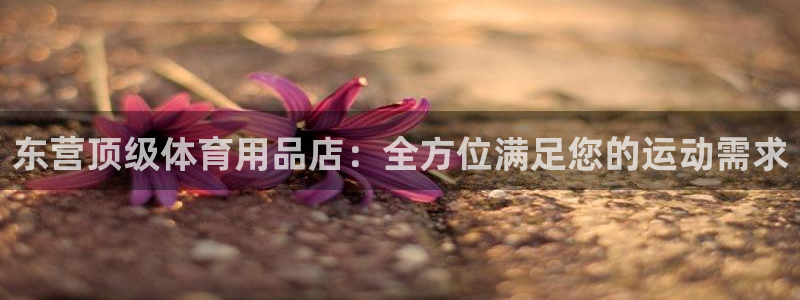 欧陆娱乐官网下载安装手机版