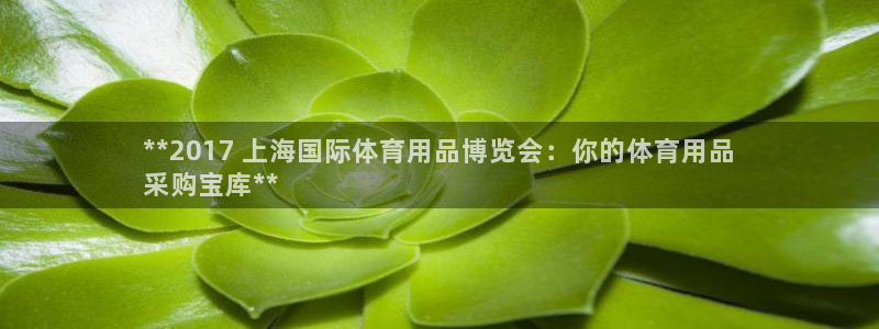 欧陆娱乐计划预测软件：**2017 上海国际体育用品