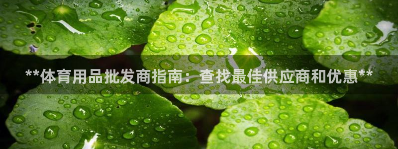 欧陆娱乐注册代理多少钱一个月：**体育用品批发商指南