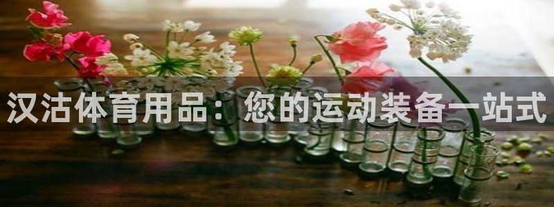 欧陆娱乐怎么注册会员的：汉沽体育用品：您的运动装备一