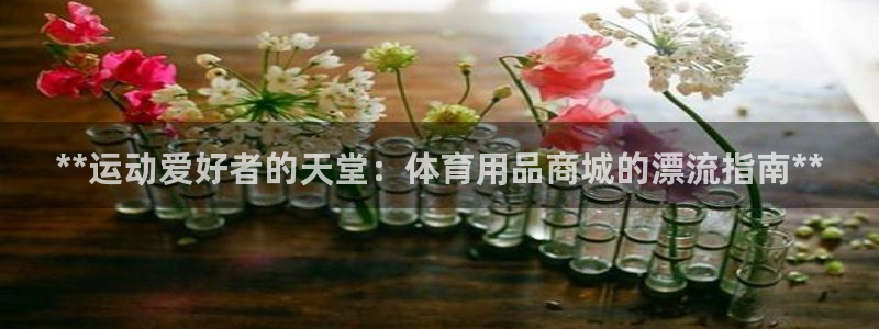 欧陆娱乐app攻略大全：**运动爱好者的天堂：体育用