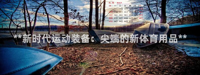 欧陆注册登录入口：**新时代运动装备：尖端的新体育用