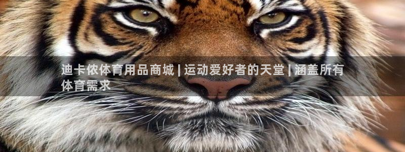 欧陆商城：迪卡侬体育用品商城 | 运动爱好者的天堂 