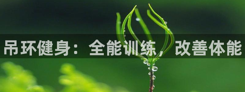 欧陆娱乐平台登陆地址是什么意思：吊环健身：全能训练，
