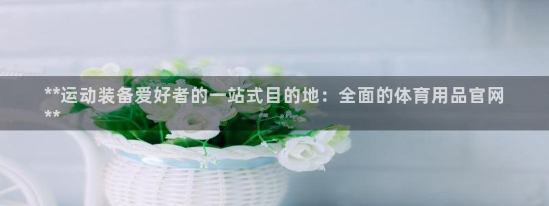 欧陆商城：**运动装备爱好者的一站式目的地：全面的体