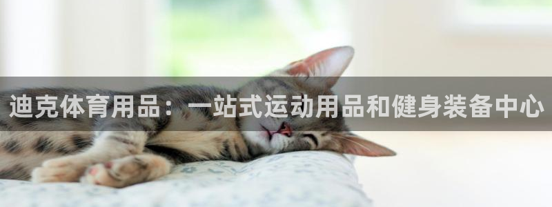 欧陆娱乐是正规平台吗安全吗可靠吗可信吗：迪克体育用品