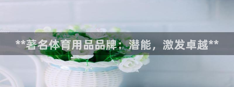 欧陆娱乐app打不开怎么回事儿：**著名体育用品品牌
