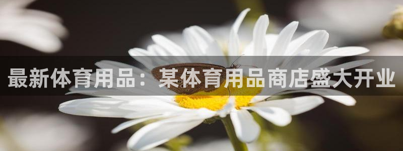 欧陆娱乐挂机怎么玩游戏：最新体育用品：某体育用品商店