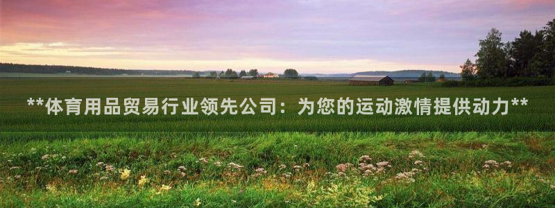 欧陆娱乐客服：**体育用品贸易行业领先公司：为您的运