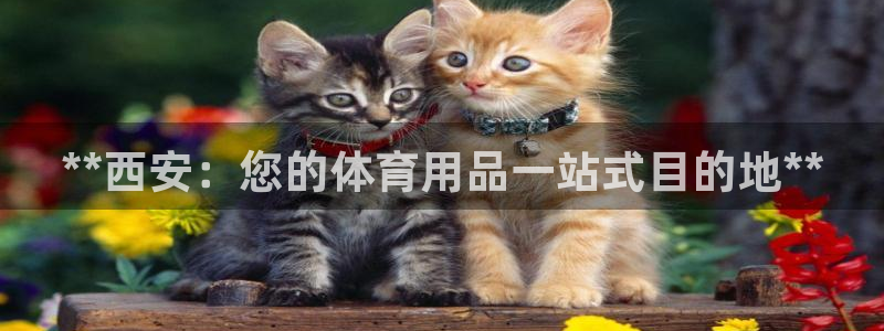 欧陆娱乐测试：**西安：您的体育用品一站式目的地**