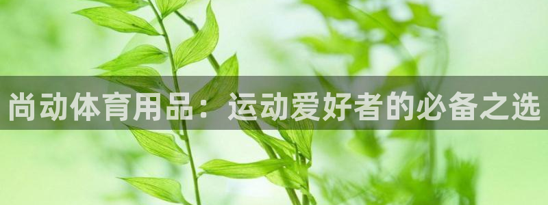 欧陆娱乐注册链接怎么弄：尚动体育用品：运动爱好者的必