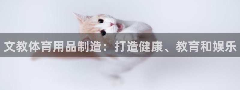 欧陆娱乐分分彩：文教体育用品制造：打造健康、教育和娱