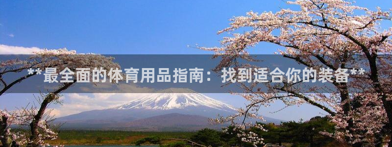 欧陆娱乐代理多少个点位：**最全面的体育用品指南：找