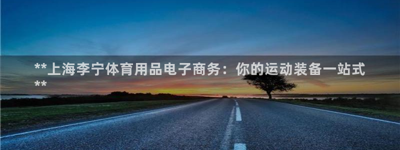 欧陆娱乐官网网址大全：**上海李宁体育用品电子商务：