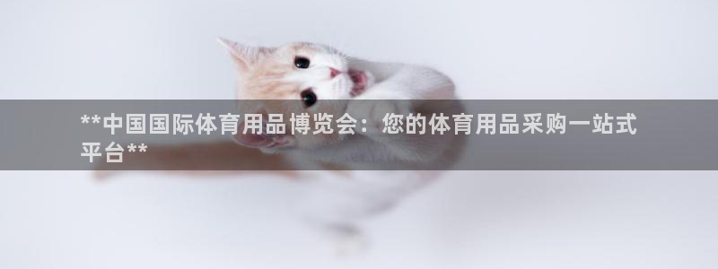 欧陆娱乐挂机怎么玩游戏：**中国国际体育用品博览会：