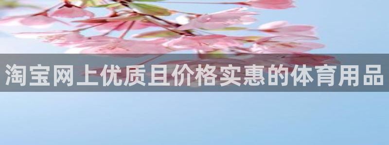 欧陆娱乐官方网站：淘宝网上优质且价格实惠的体育用品