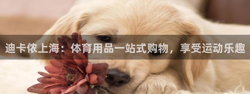 欧陆娱乐平台登陆地址在哪改：迪卡侬上海：体育用品一站