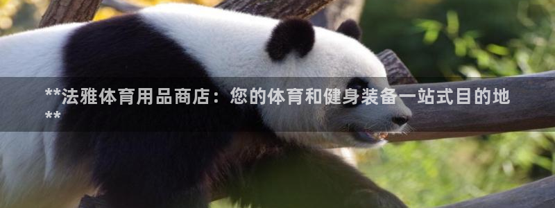 欧陆娱乐是那个旗下的品牌：**法雅体育用品商店：您的