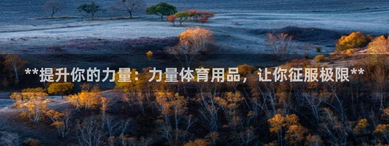欧陆娱乐客服服务怎么样：**提升你的力量：力量体育用