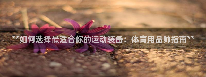 欧陆娱乐是干什么的：**如何选择最适合你的运动装备：