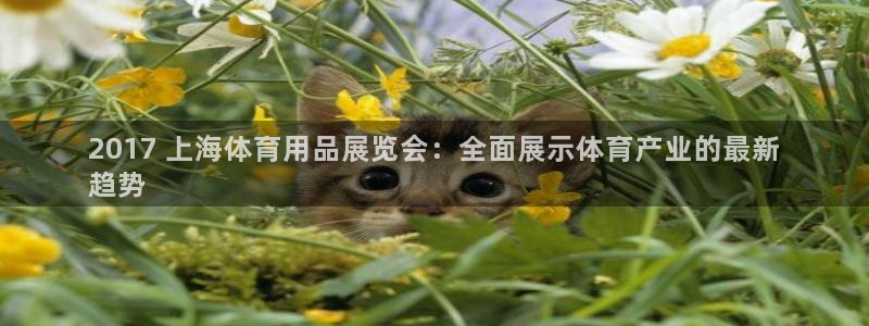 欧陆娱乐注册链接安全吗可靠吗：2017 上海体育用品