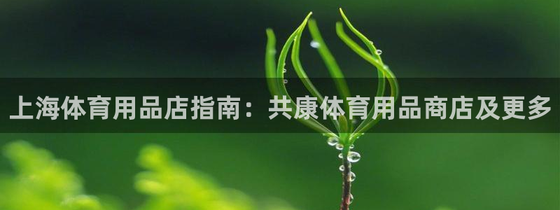 欧陆娱乐登录官网：上海体育用品店指南：共康体育用品商