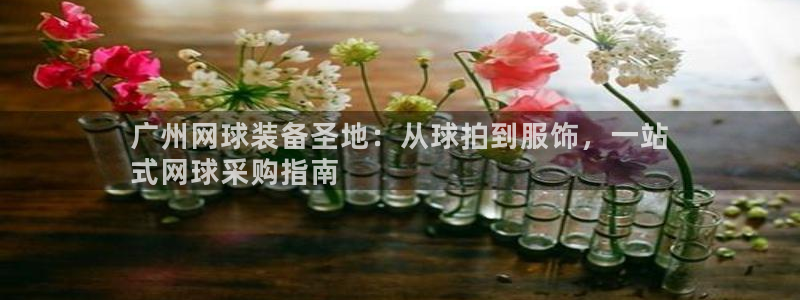 欧陆娱乐是正规平台吗安全吗知乎推荐：广州网球装备圣地