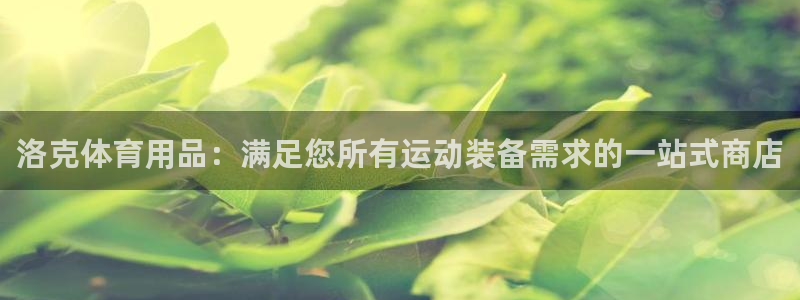 欧陆娱乐挂机怎么玩的：洛克体育用品：满足您所有运动装