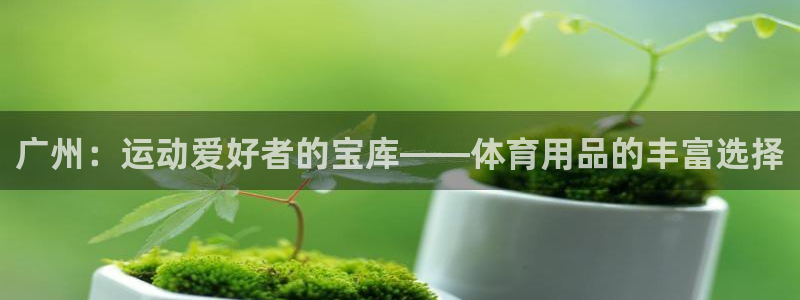 欧陆娱乐app打不开怎么回事儿：广州：运动爱好者的宝
