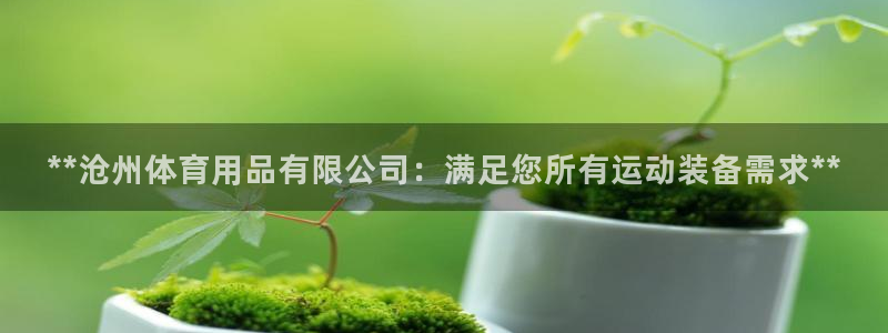 欧陆娱乐计划预测软件有哪些：**沧州体育用品有限公司