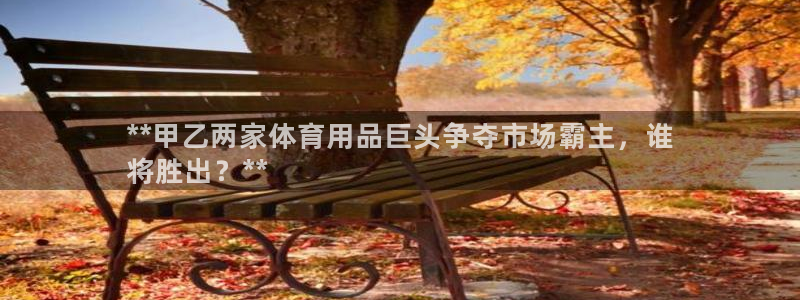 欧陆娱乐可以退钱吗安全吗：**甲乙两家体育用品巨头争